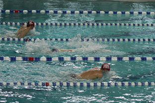 九游官方正版-亚洲游泳冠军赛孙杨携队友力夺接力金，中国游泳冠军孙扬